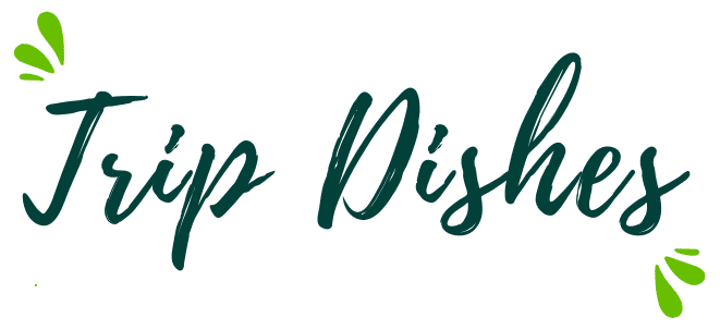 eazydishes logo